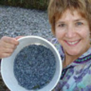 Meet your Posher, Lonnie